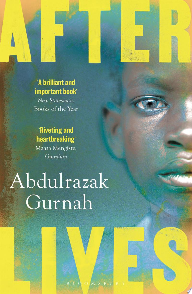 Cover of Afterlives