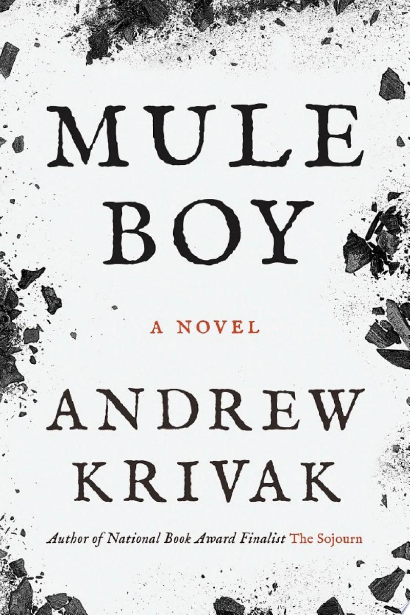 Cover of Mule Boy