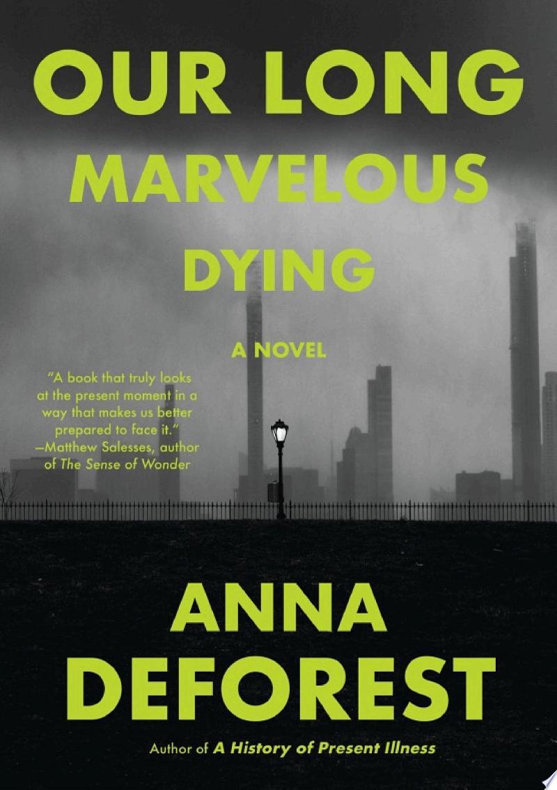 Cover of A History of Present Illness