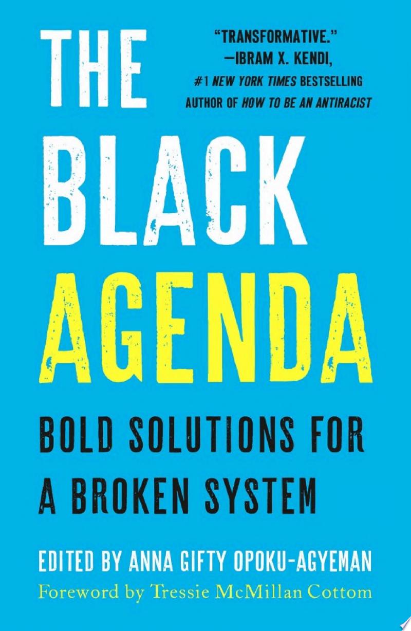 Cover of The Black Agenda: Bold Solutions for a Broken System