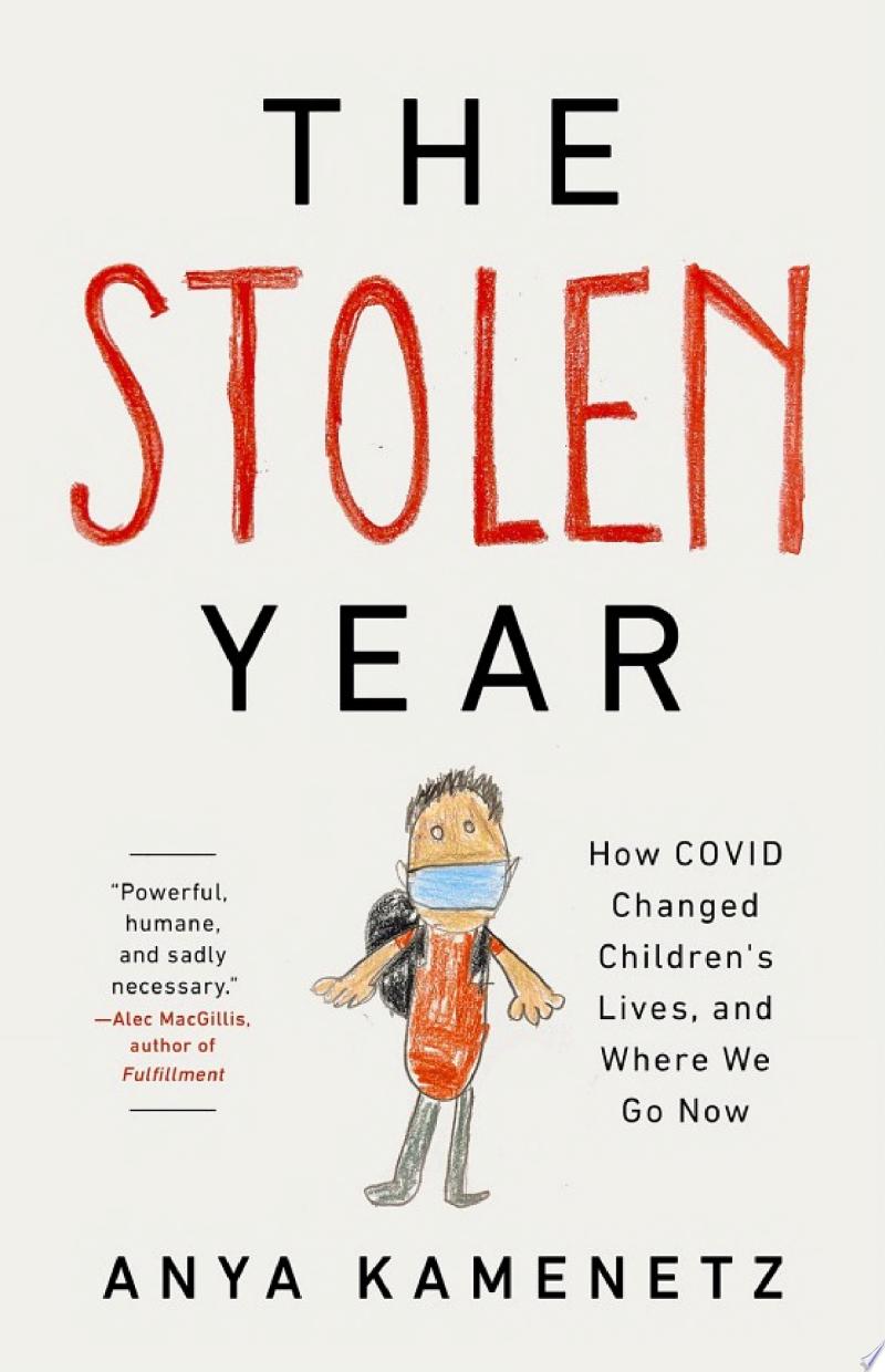 Cover of The Stolen Year