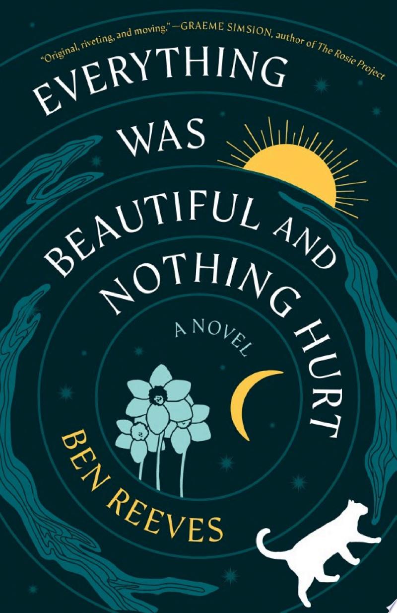 Cover of Everything Was Beautiful and Nothing Hurt