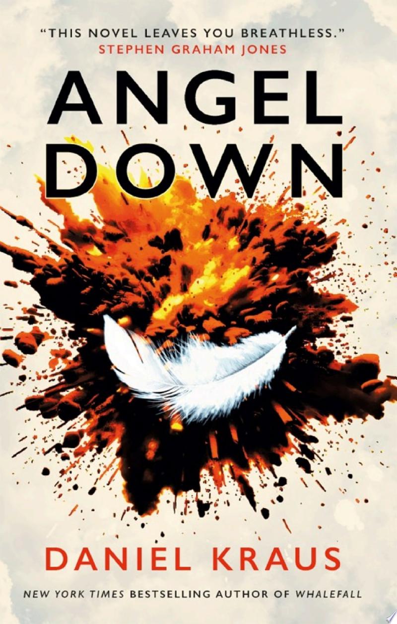 Cover of Angel Down