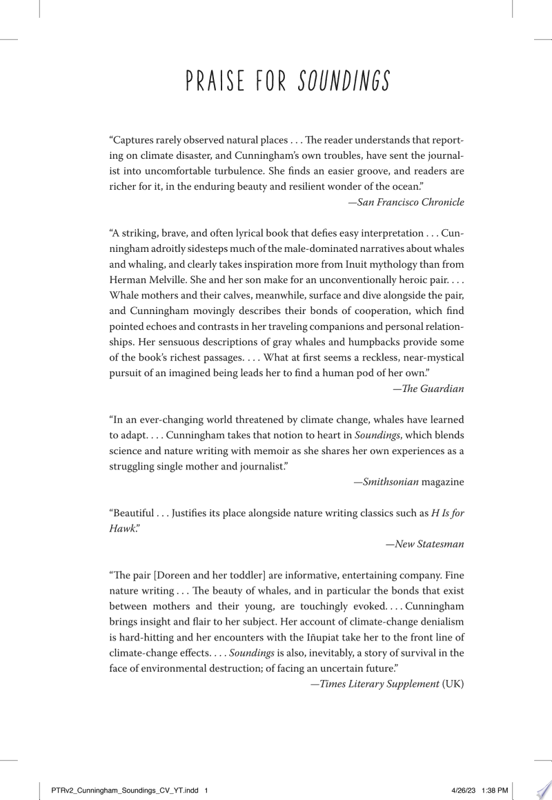 Cover of Soundings