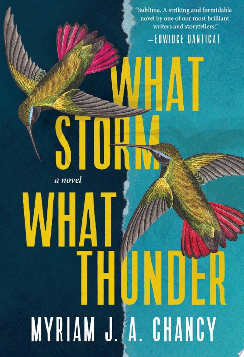 Cover of What Storm, What Thunder