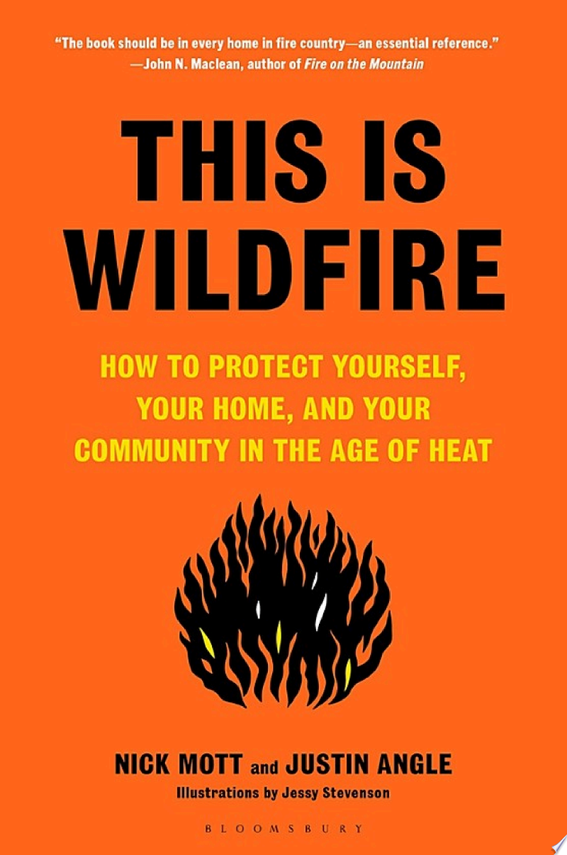 Cover of This Is Wildfire