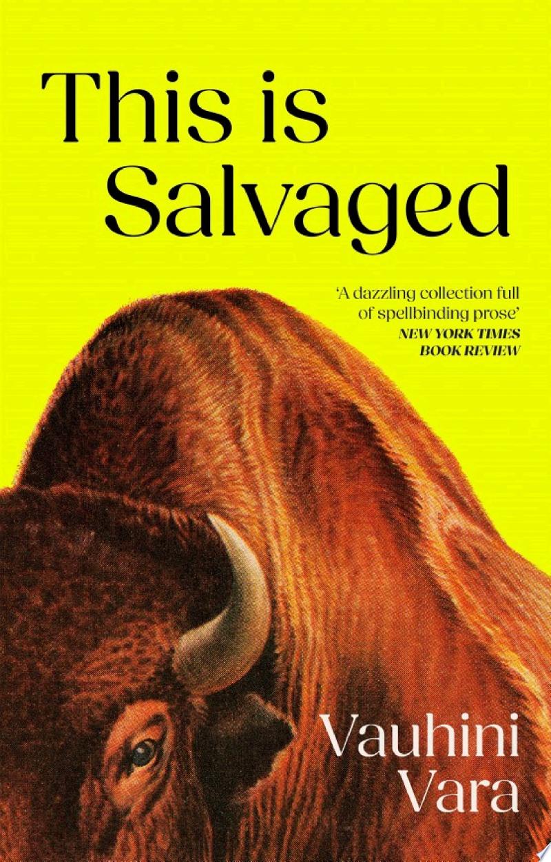 Cover of This is Salvaged