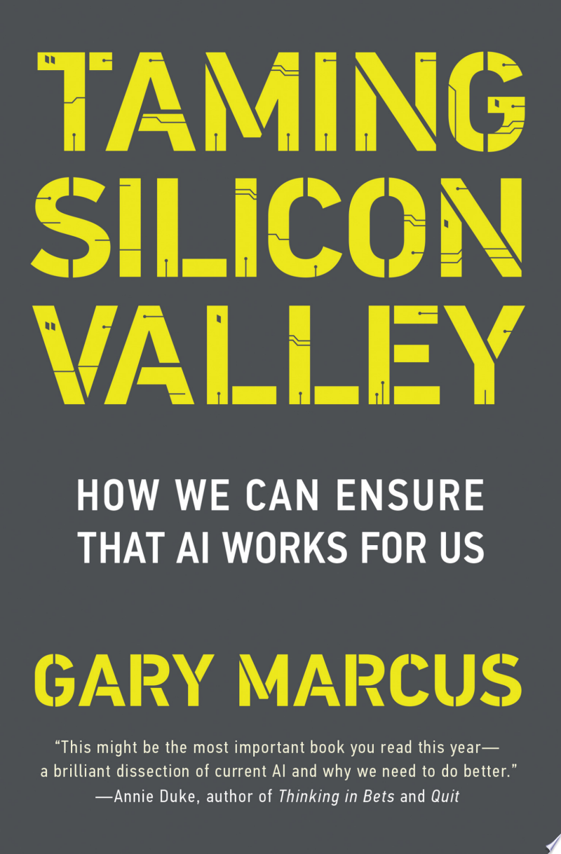Cover of AI Valley