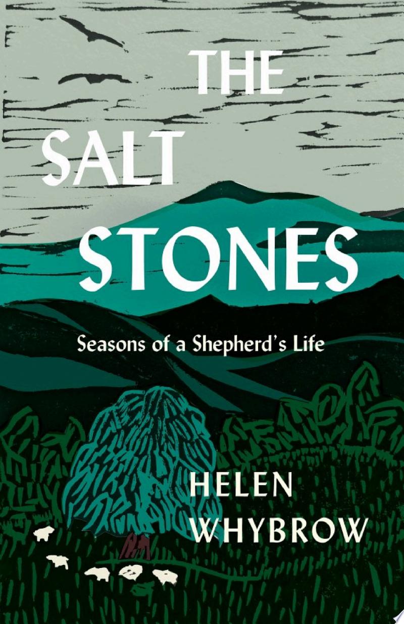Cover of The Salt Stones