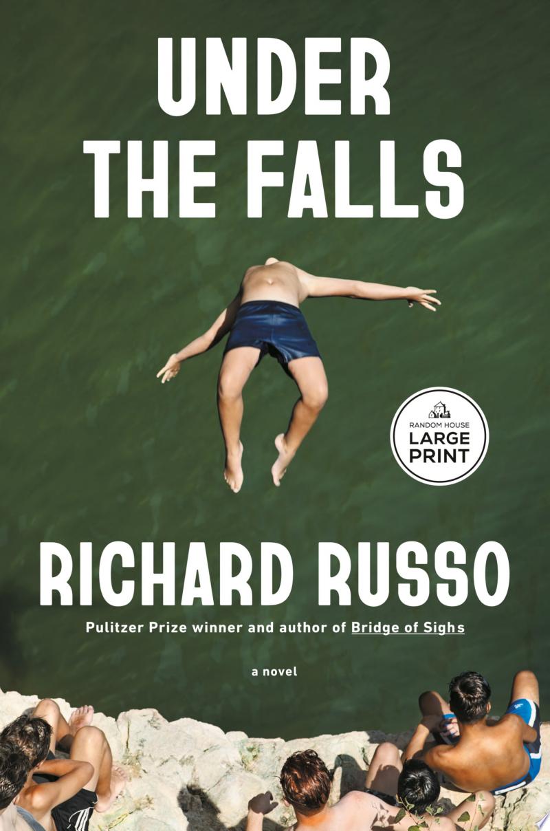 Cover of Under the Falls