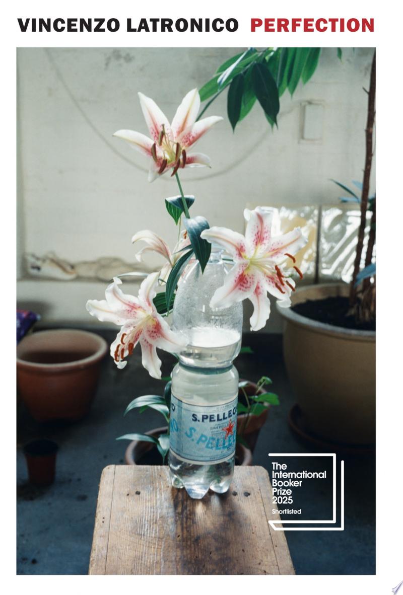 Cover of Perfection