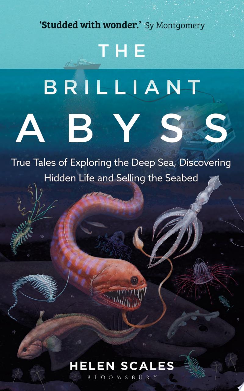 Cover of The Brilliant Abyss
