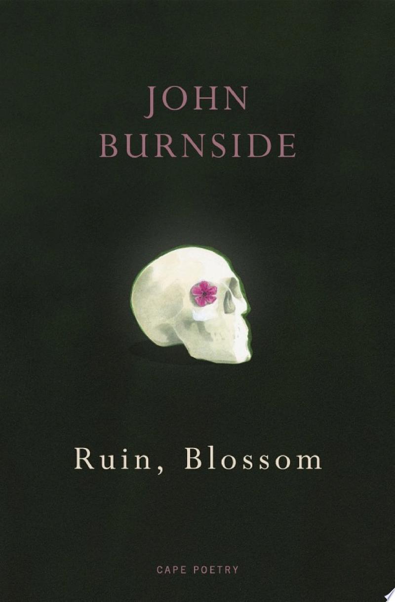 Cover of Ruin, Blossom