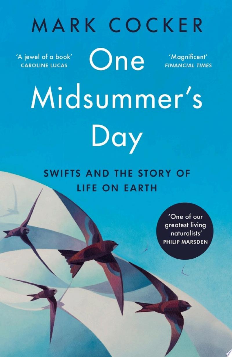 Cover of One Midsummer's Day