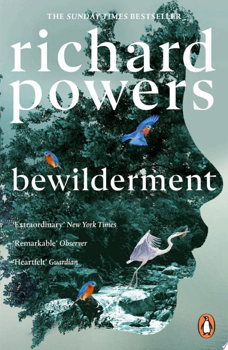 Cover of Bewilderment