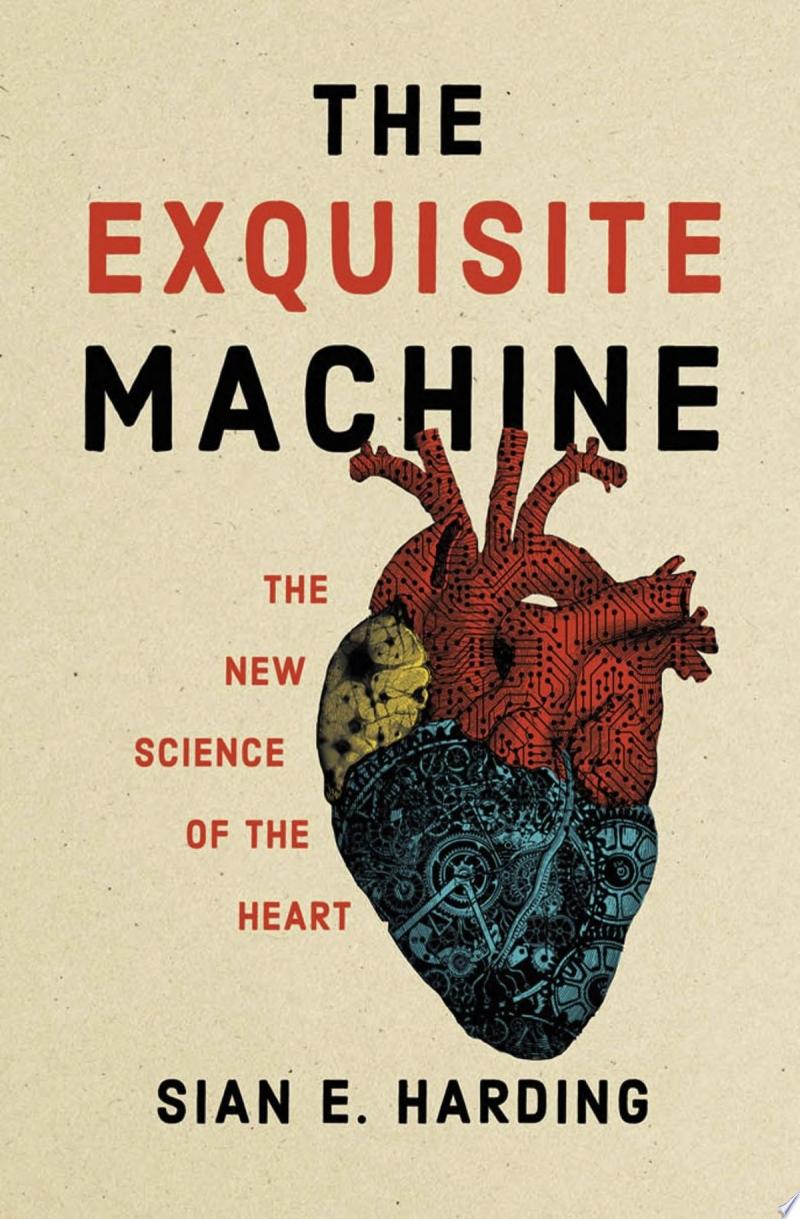 Cover of The Exquisite Machine