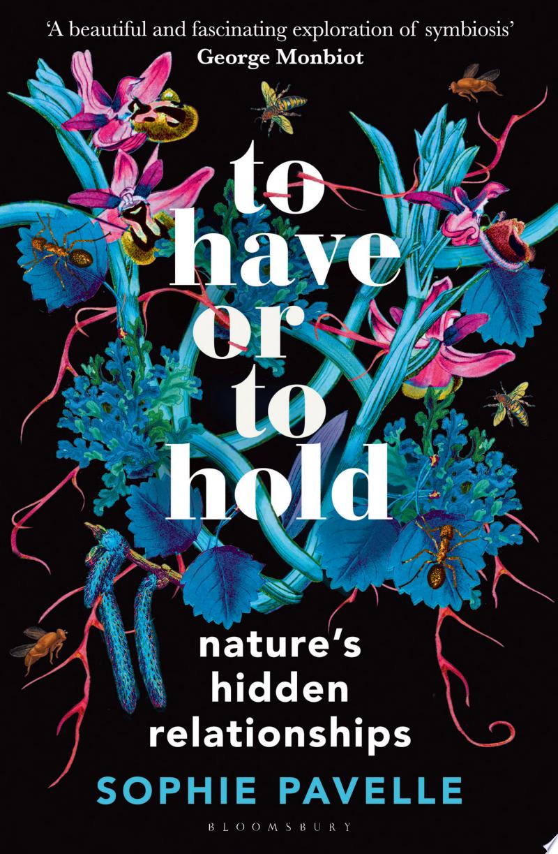 Cover of To Have or To Hold