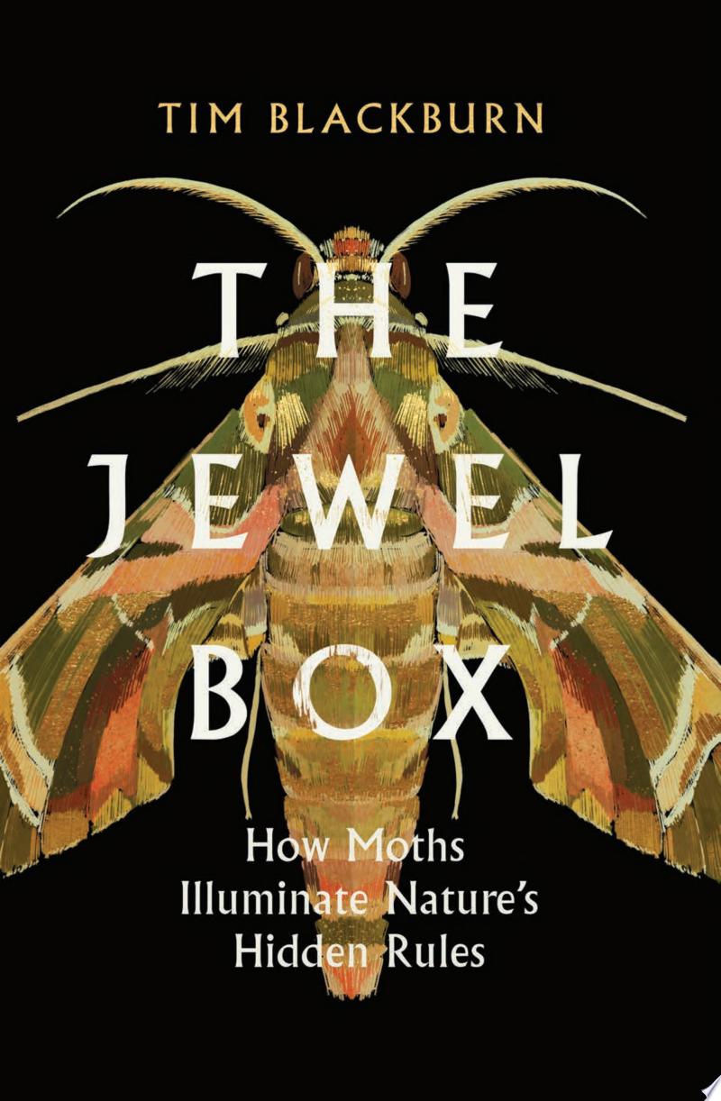 Cover of The Jewel Box